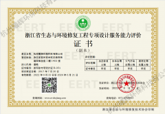 工程专项设计甲级证书